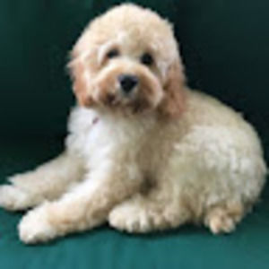 Meet your Posher, Katherine